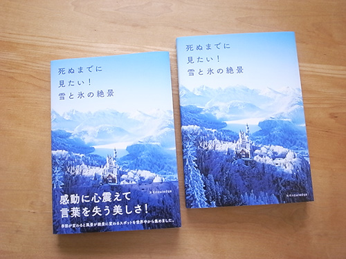 book_winter